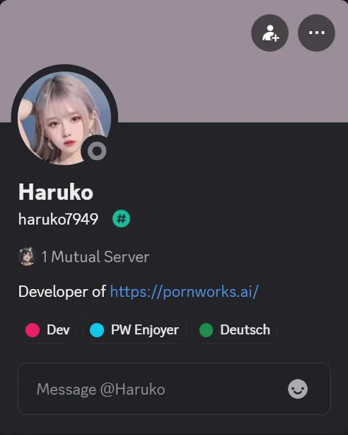 Developer Of PornWorks AI Haruko