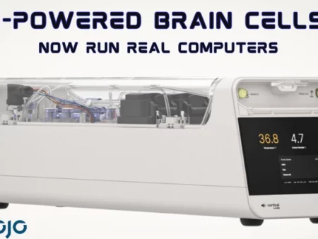 Biological Computer Era: Will AI Brain Cells Replace Silicon?