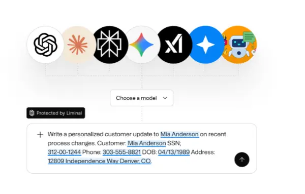Liminal Multi-Models