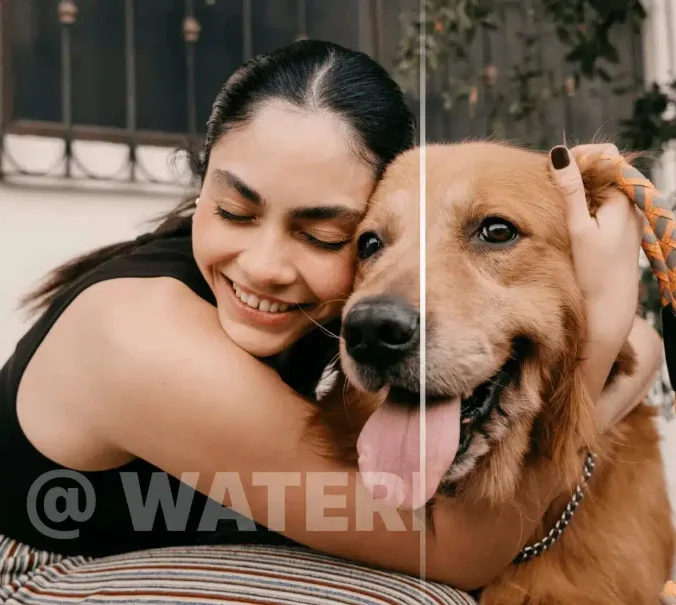 Watermark Removal Vmake