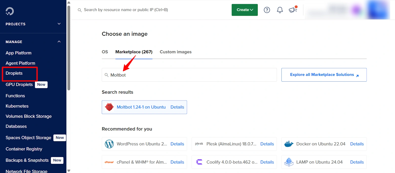 DigitalOcean Droplet- Selecting Moltbot from Marketplace