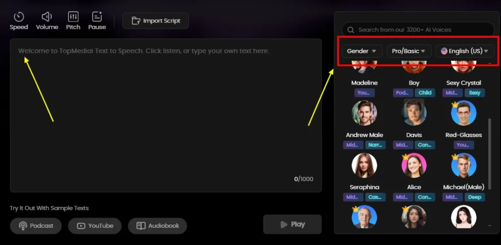 AI Text to Speech TopMediAI