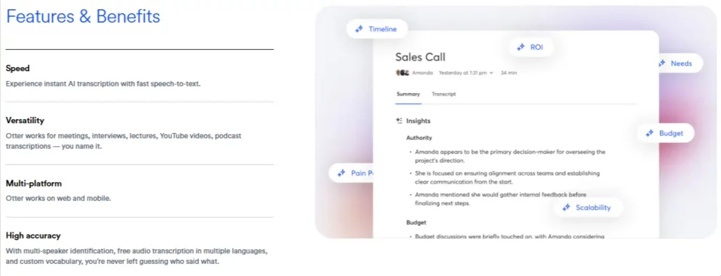 Vidră AI Acuratețea transcripției
