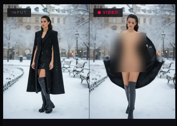 Image to Video Effects FreeNudifier