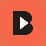 Bulin AI